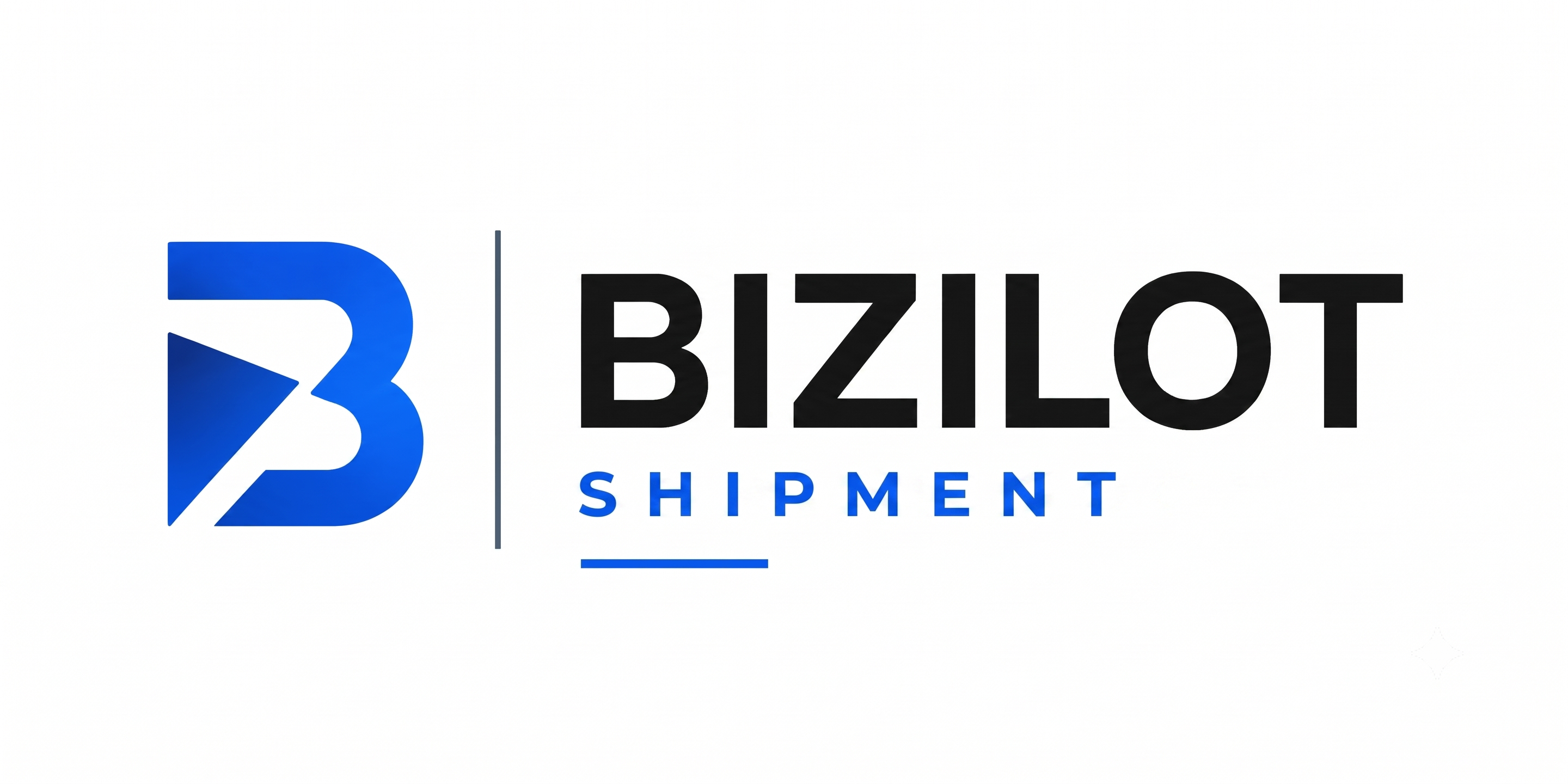 Bizilot Shipment